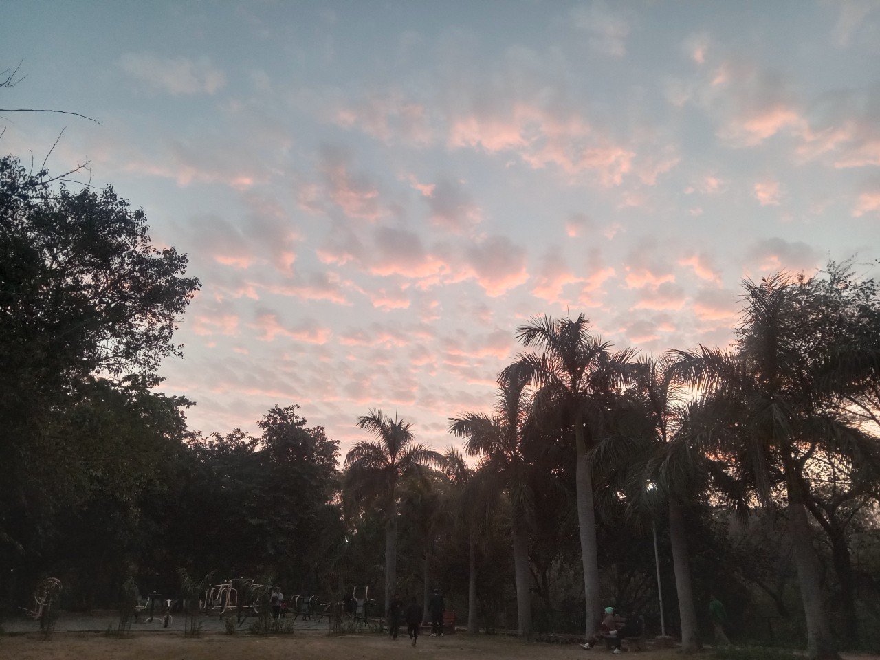 The Evening Walk Wonder!!. Free Landscapes photos