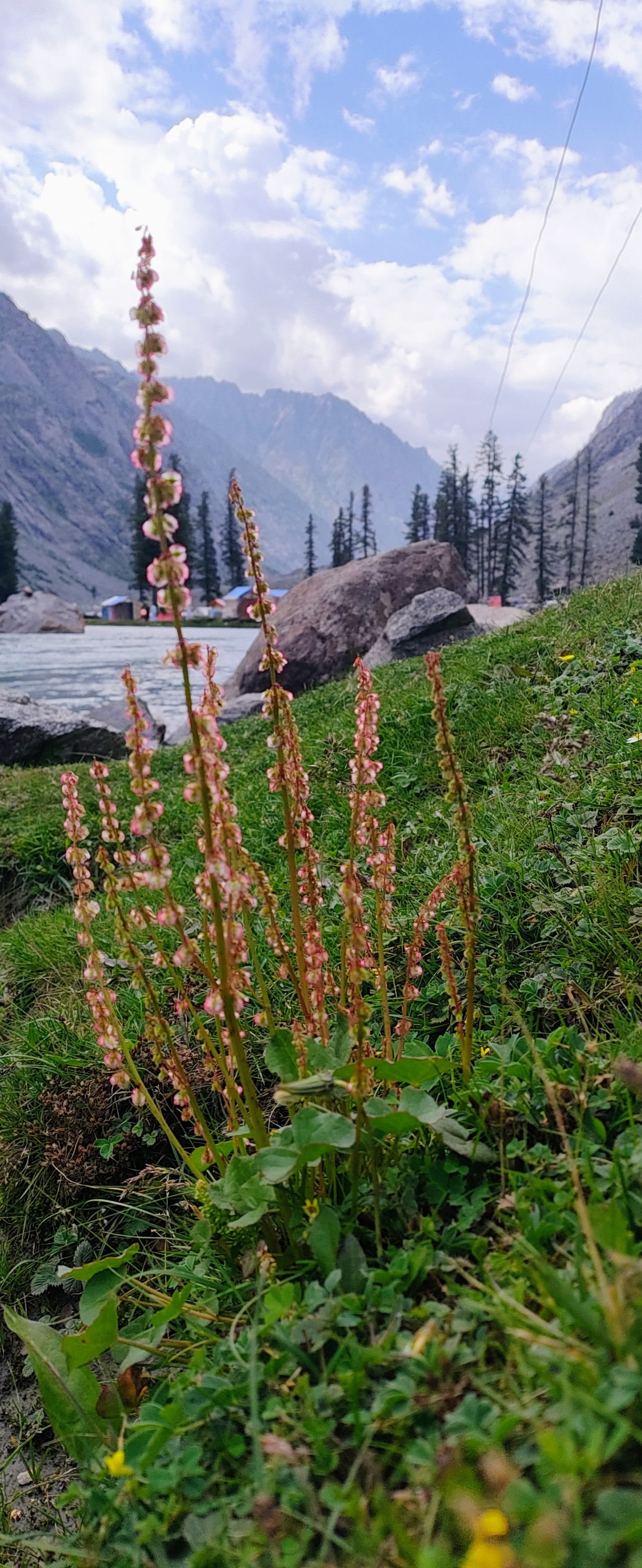 Kalam Pakistan natural view mountain. Free Flora photos