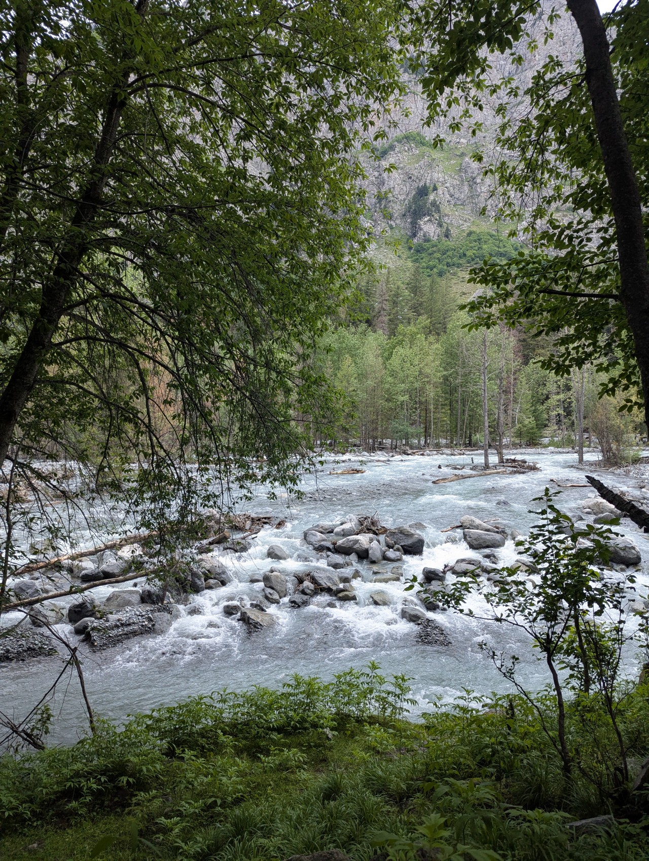 River. Free Landscapes photos