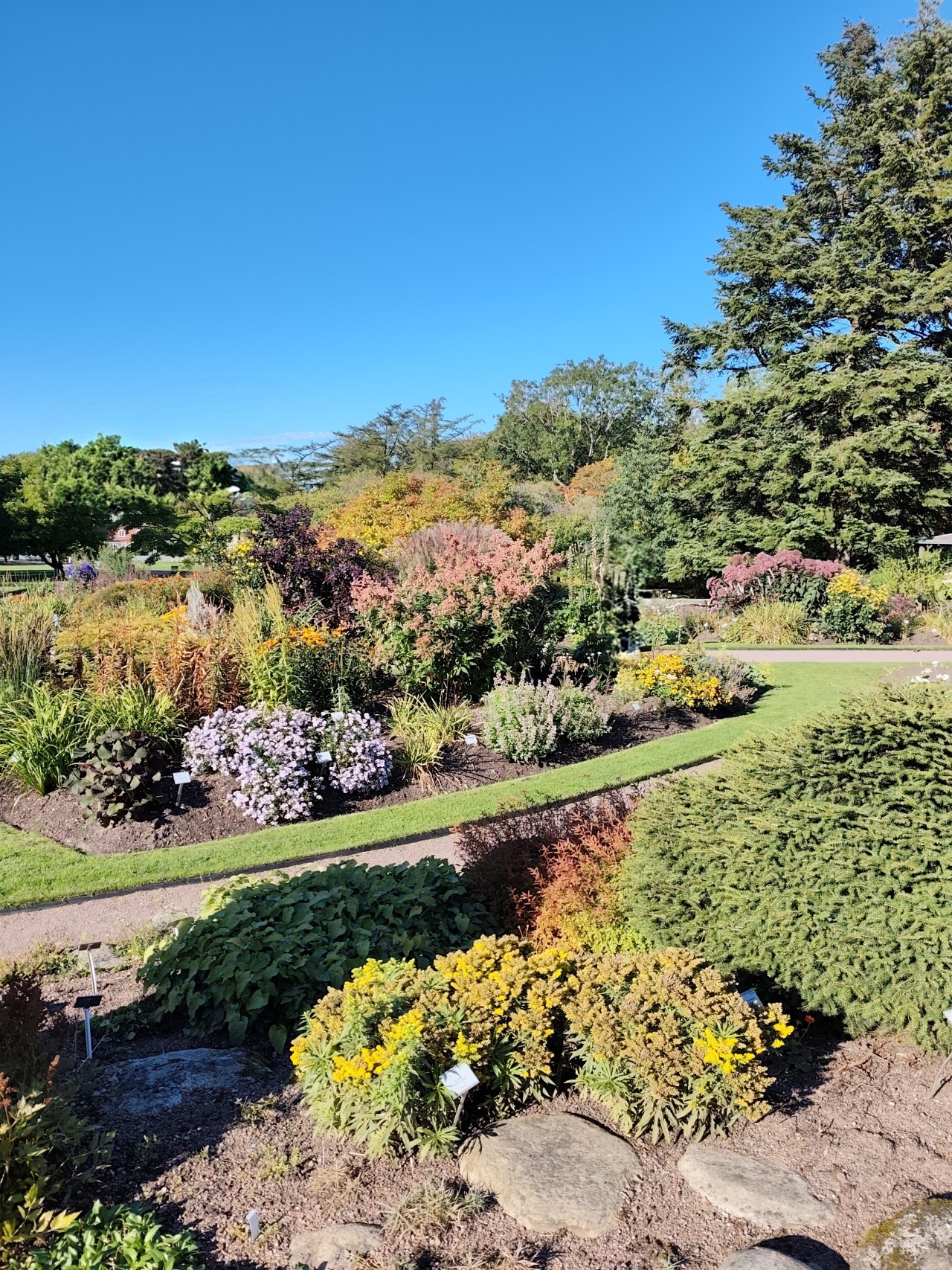 Urban park. Free Landscapes photos