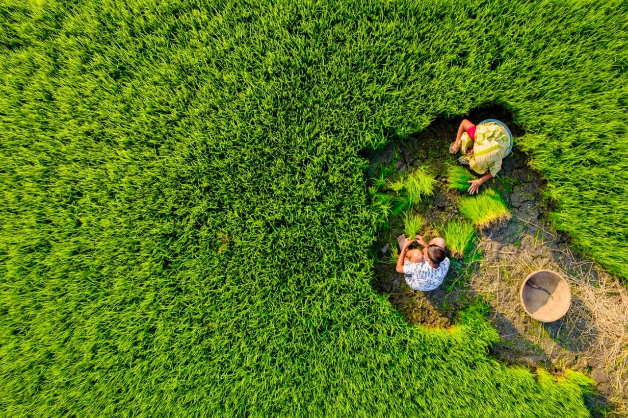 The Soul Of Bangladesh. Free Landscapes photos