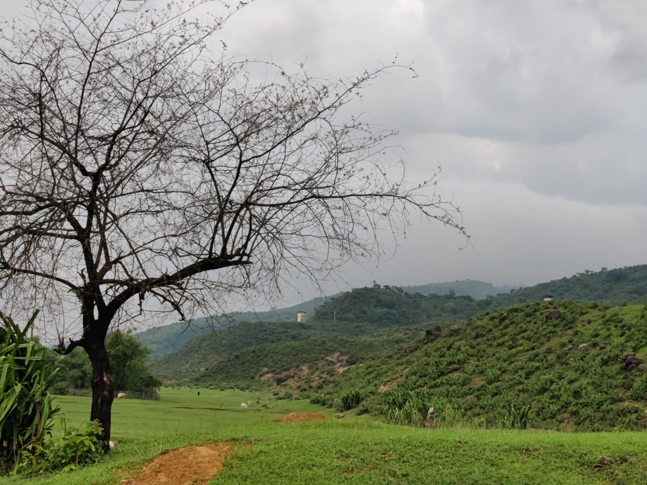 Nature, Bangladesh. Free Landscapes photos