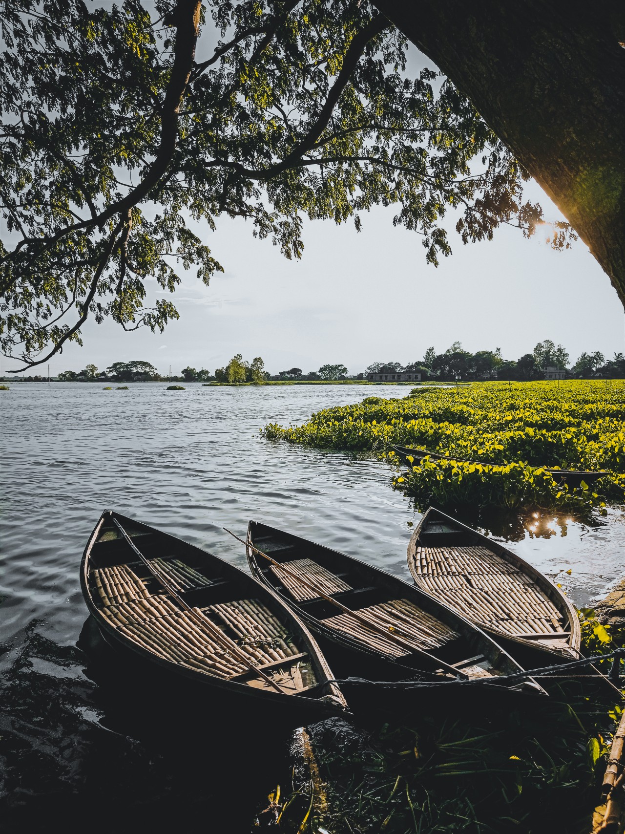 A quiet afternoon by the water. Free Landscapes photos
