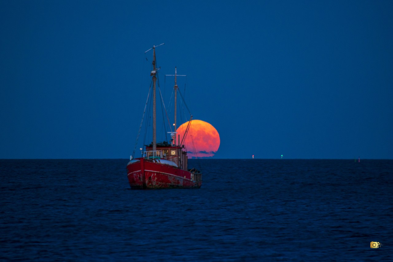 Strawberry Moon Rise. Free Seascapes photos