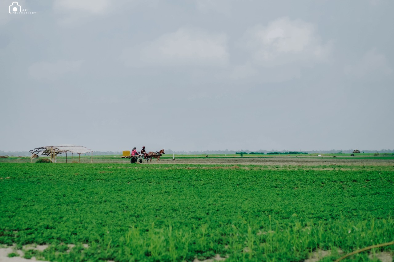Beautiful village. Free Landscapes photos