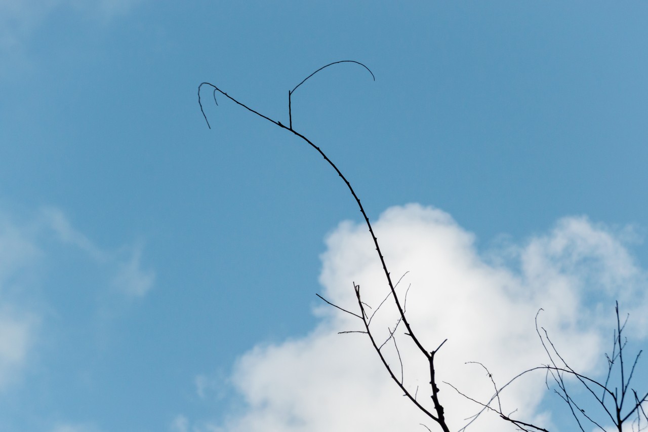 Blue sky. Free Skies photos
