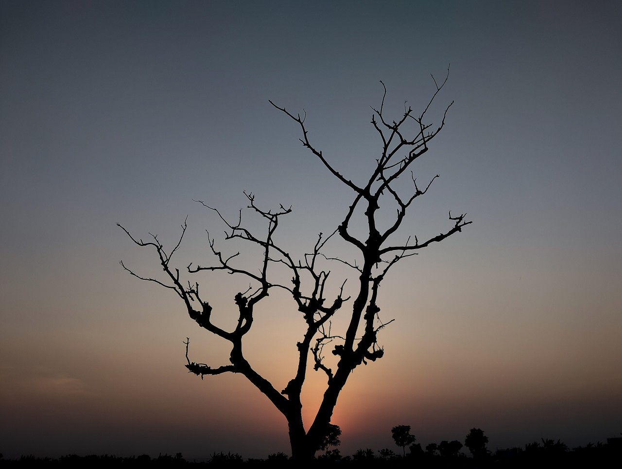 sunset. Free Landscapes photos