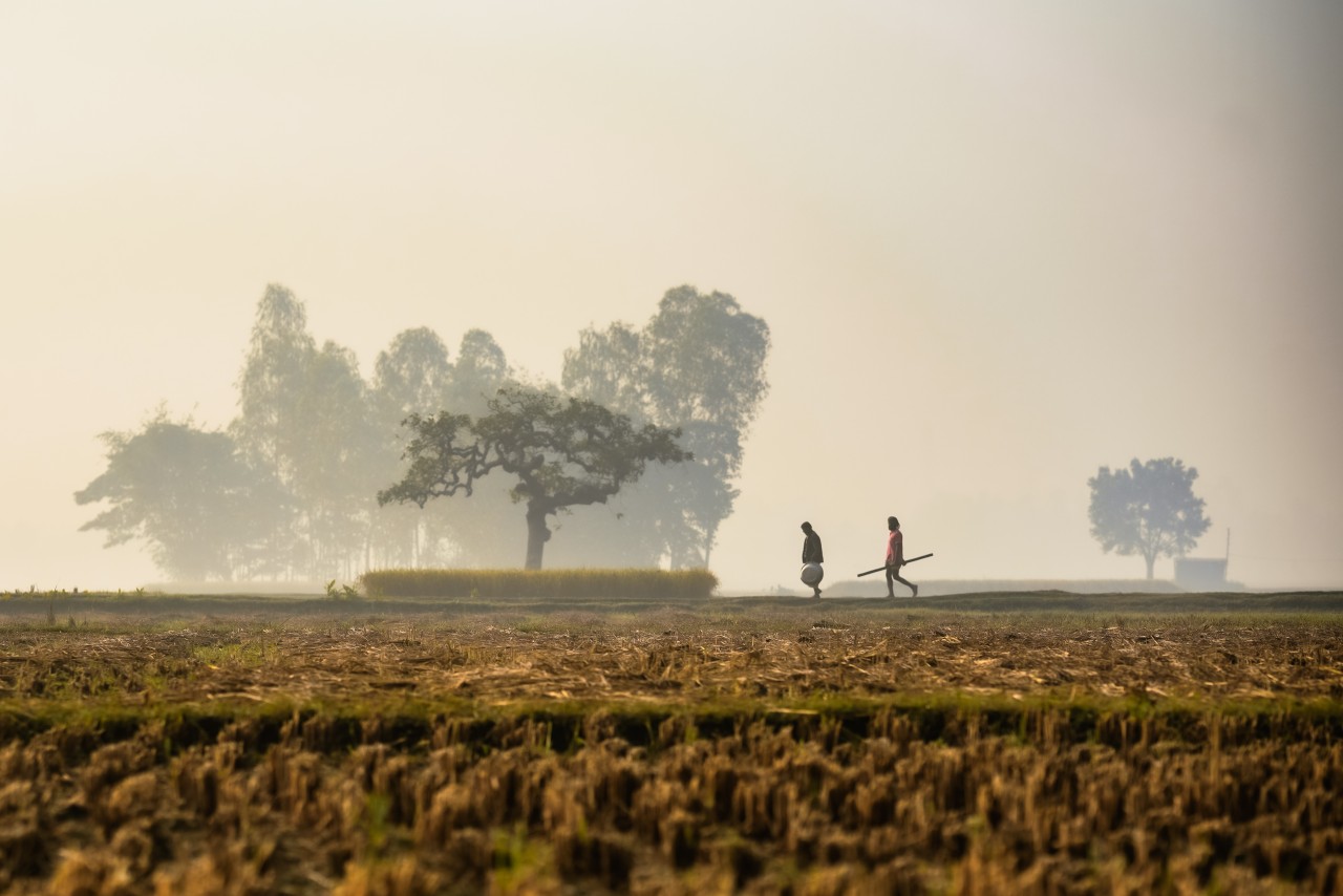 Farmers in Winter morning working time. Free Landscapes photos