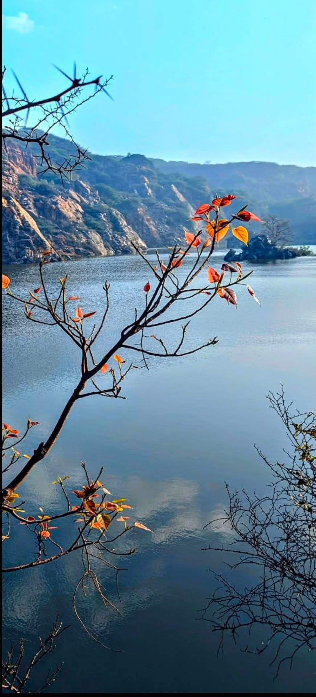 New leaf on the block. Free Landscapes photos