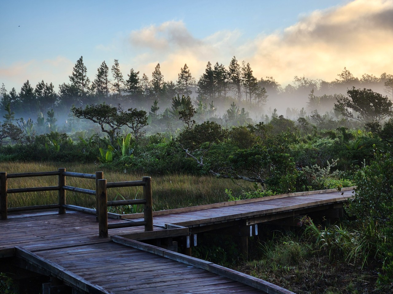 Plaine raoul, Petrin, Mauritius. Free Landscapes photos