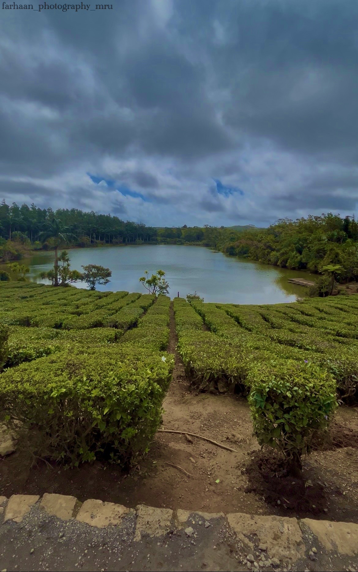 Bois cheri, Mauritius. Free Landscapes photos