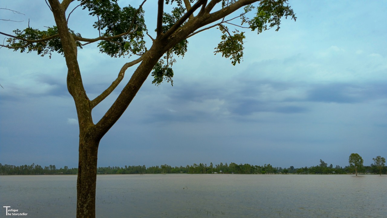 River. Free Landscapes photos