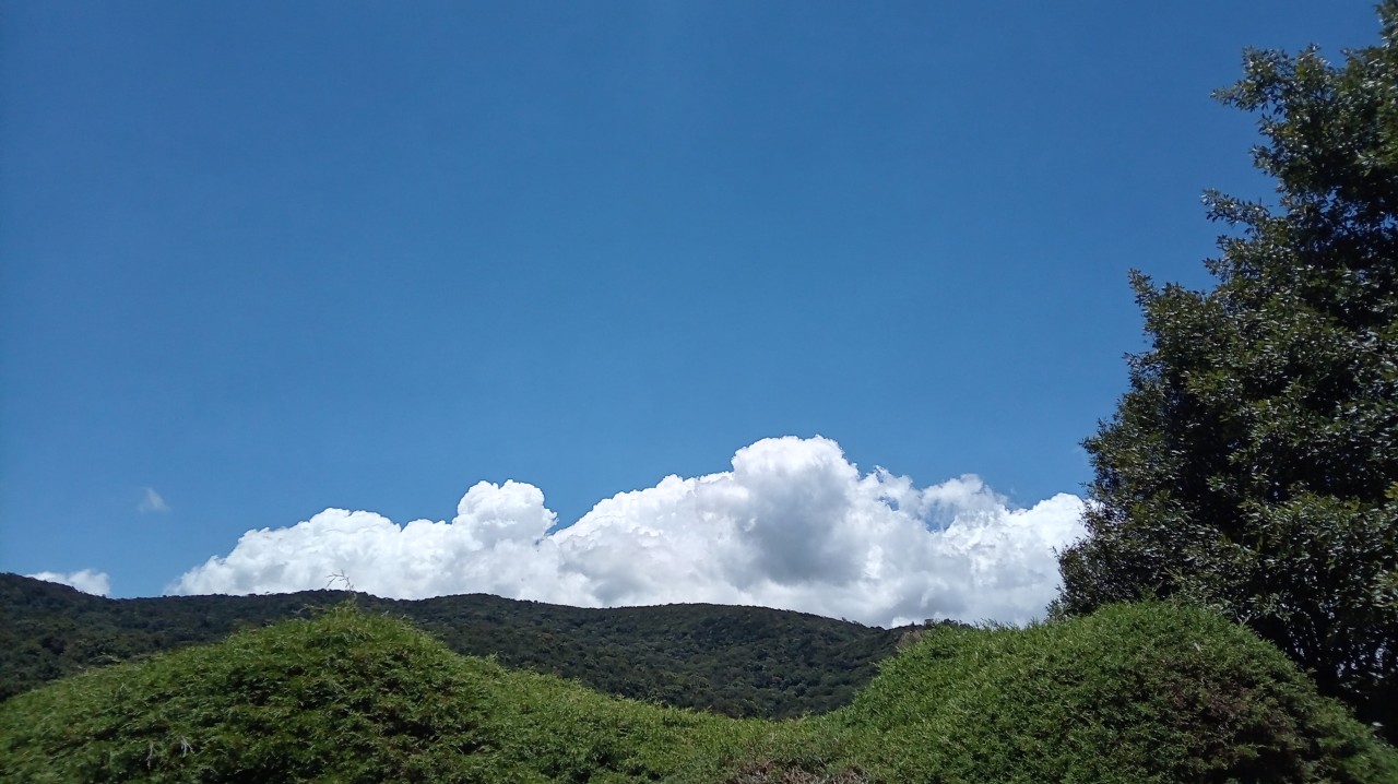 Common Sights in Sri Lanka. Free Landscapes photos