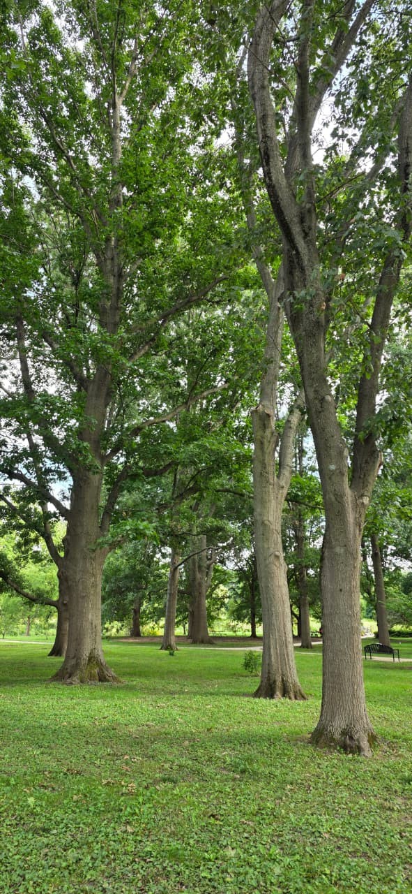 Date With Nature. Free Landscapes photos