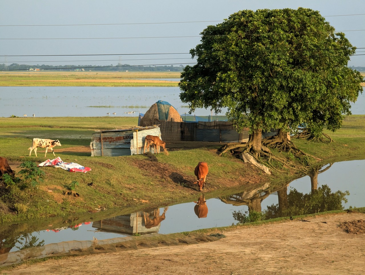 the village. Free Landscapes photos