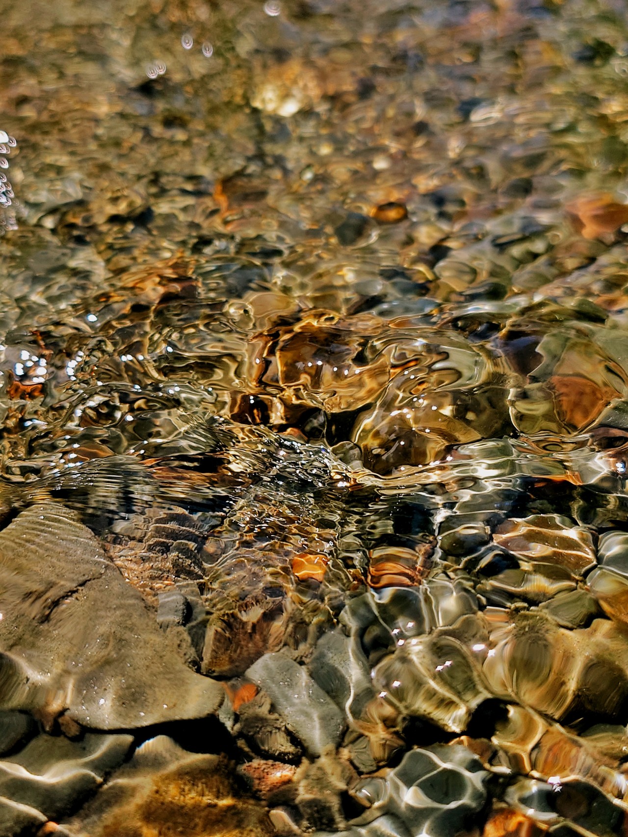 Pearl Water. Free Macro photos