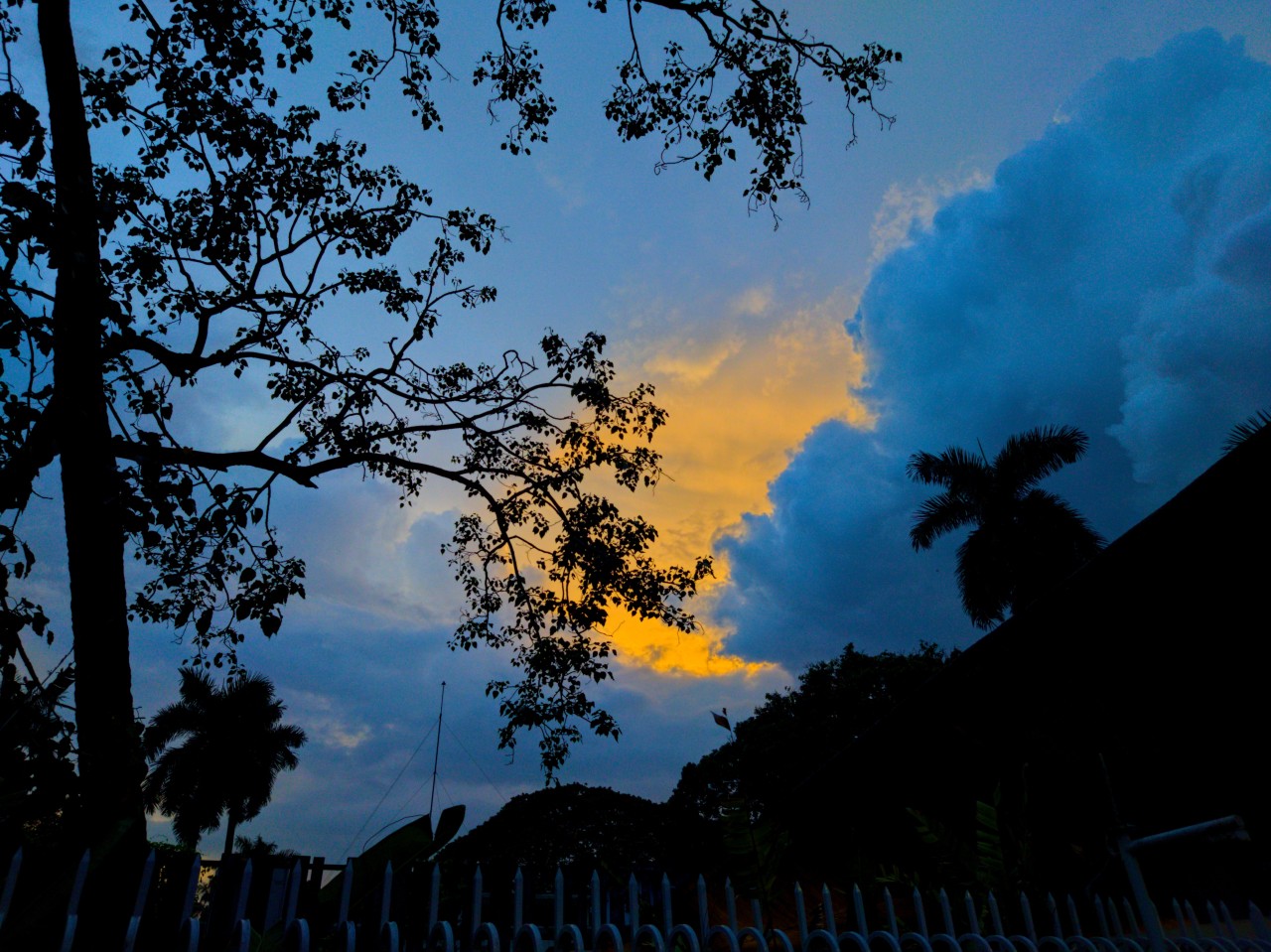 Blue Dawn. Free Skies photos