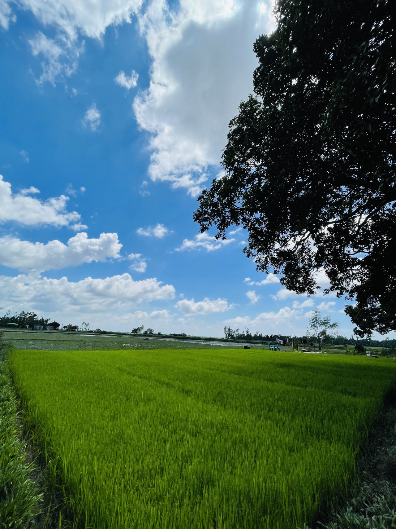 nature. Free Landscapes photos