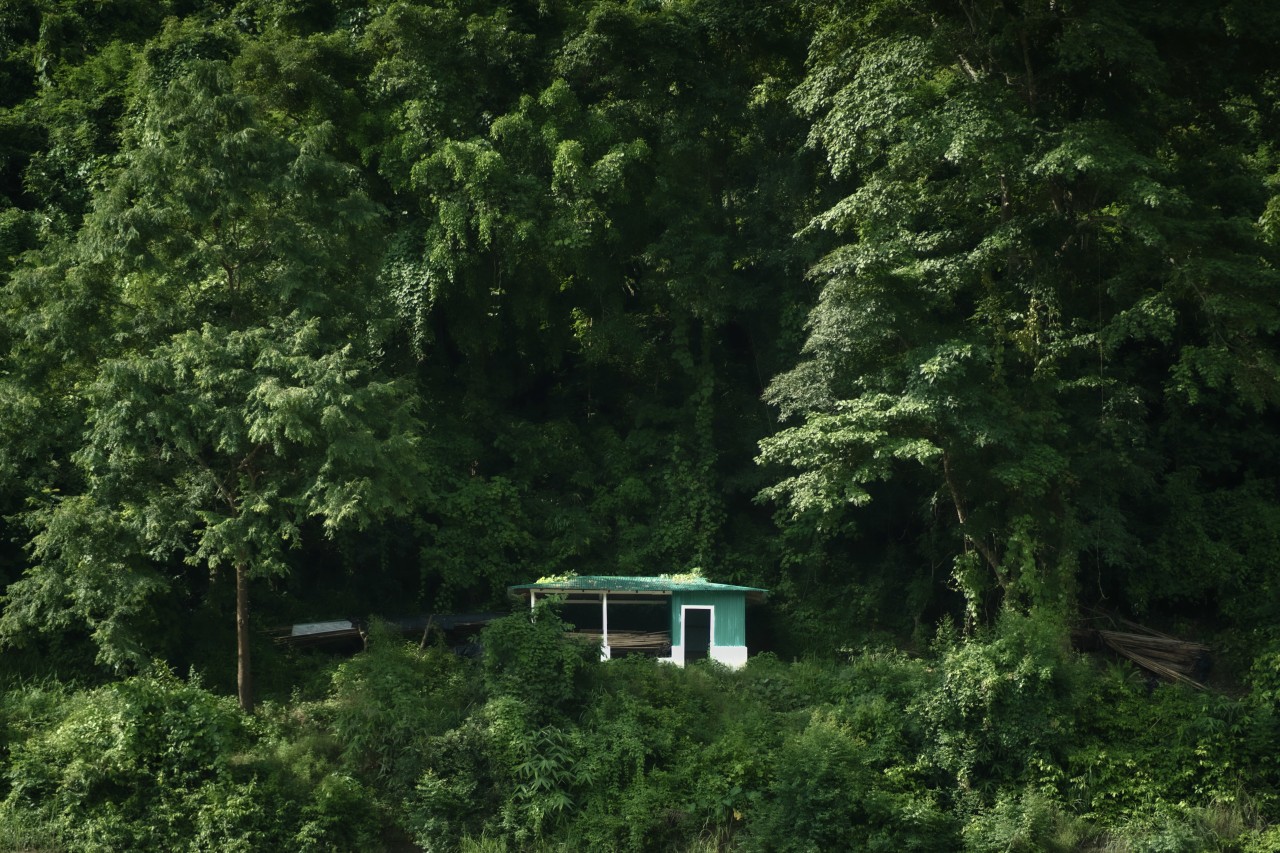Green house in the greens. Free Forests photos