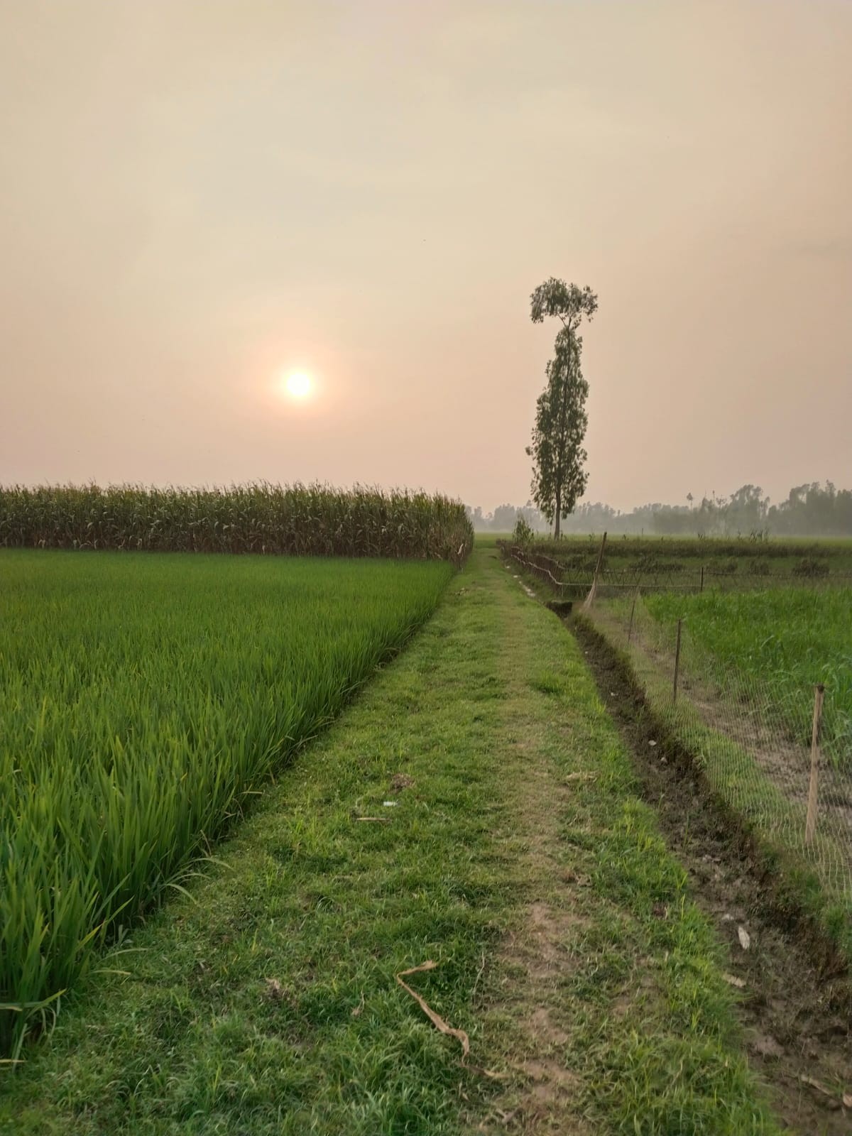 Village aisles. Free Landscapes photos