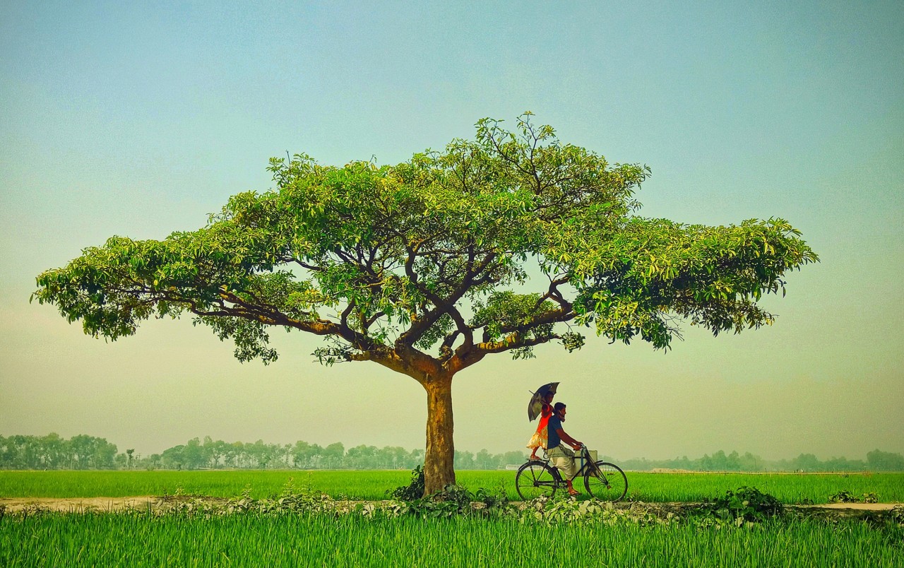 Bangladesh. Free Landscapes photos