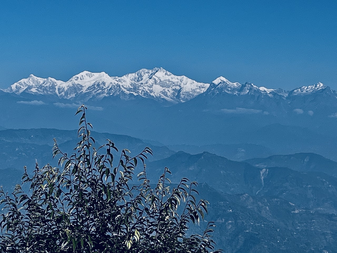 Darjeeling. Free Landscapes photos