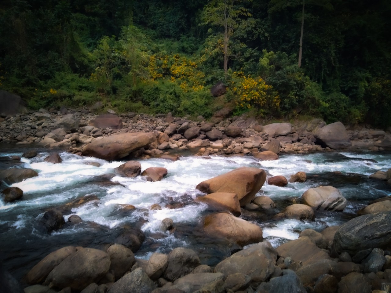 Life flows with the river. Free Landscapes photos