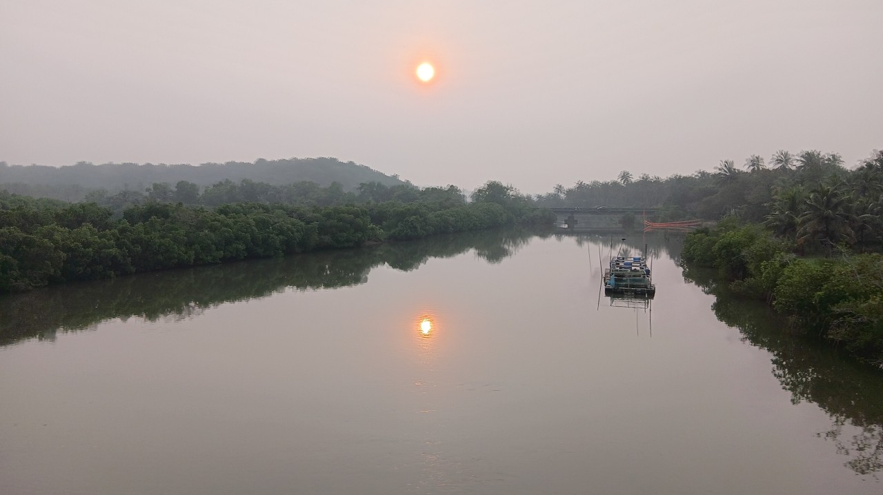 Solitude at Dawn. Free Landscapes photos