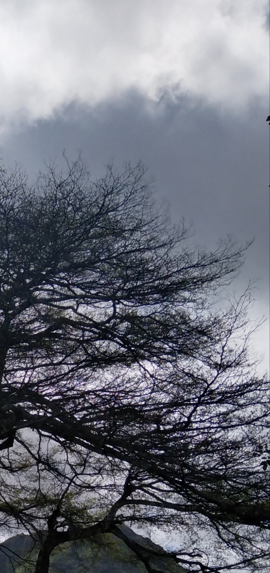 Helvetia. Free Skies photos