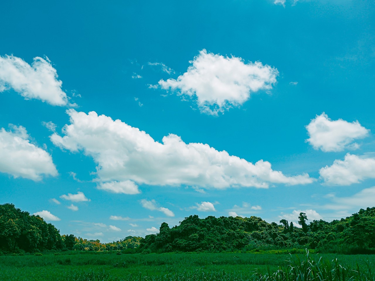 Symphony of Blue & Green. Free Landscapes photos