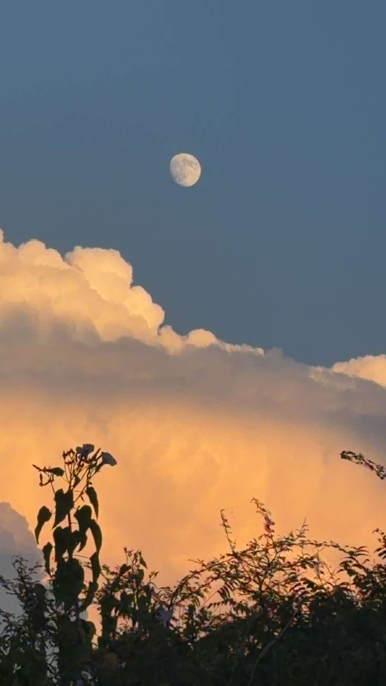 Moon Over Clouds. Free Skies photos